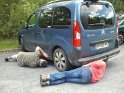 2014-06-05 15-05-41 La recherche du chat CGn